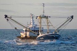 Fishing trawler 250x167