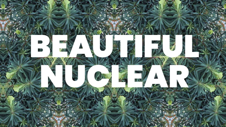 'Beautiful nuclear' must be included in energy transition, says LucidCatalyst