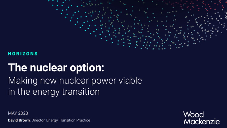Costs of new nuclear need addressing, says Wood Mackenzie