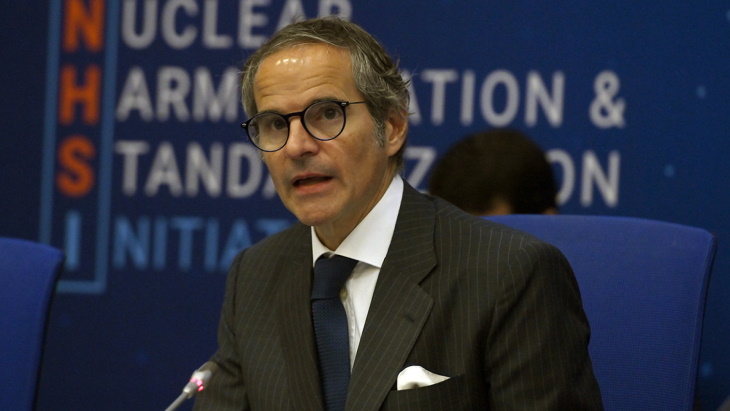 IAEA sees progress made by SMR deployment initiative