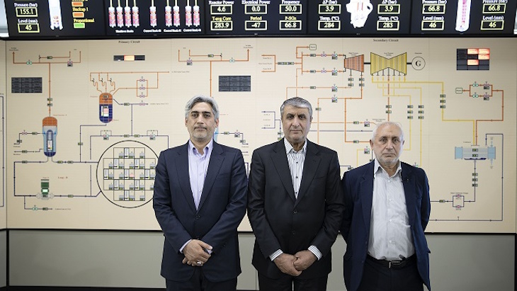 Iran unveils home-grown reactor simulator