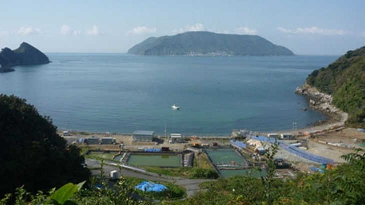 Chugoku, Kansai consider joint development of used fuel store