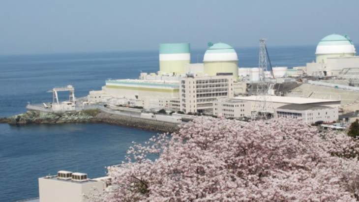 Mixed court rulings for Japanese reactors