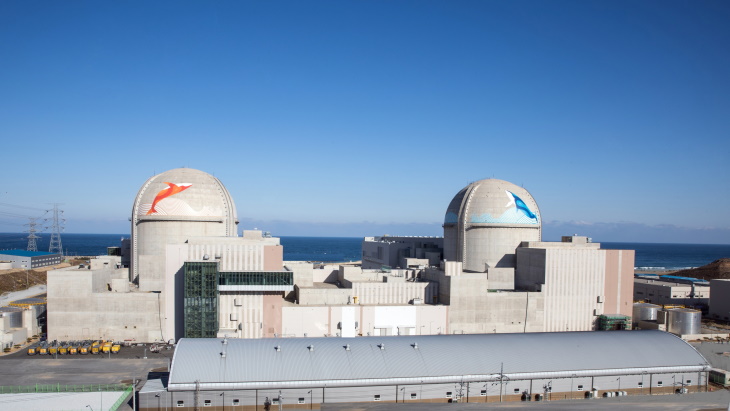 Korean reactor starts supplying electricity