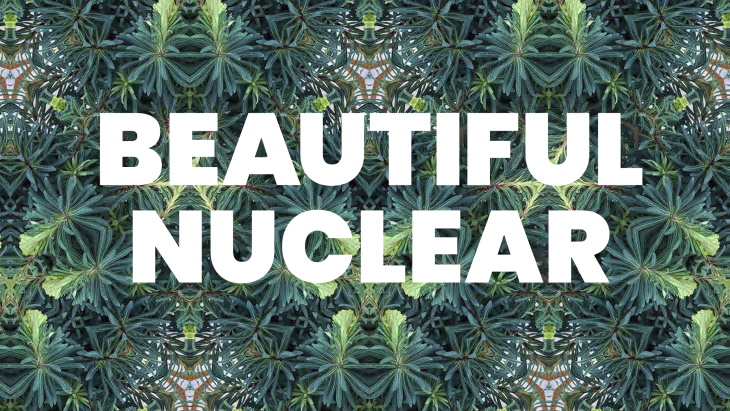 &#39;Beautiful nuclear&#39; must be included in energy transition, says LucidCatalyst