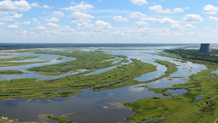 IAEA showcases environmental remediation success