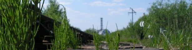 Most Chernobyl towns fit for habitation