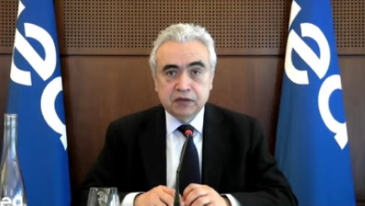 Nuclear is integral to clean energy transition, says IEA&#39;s Birol