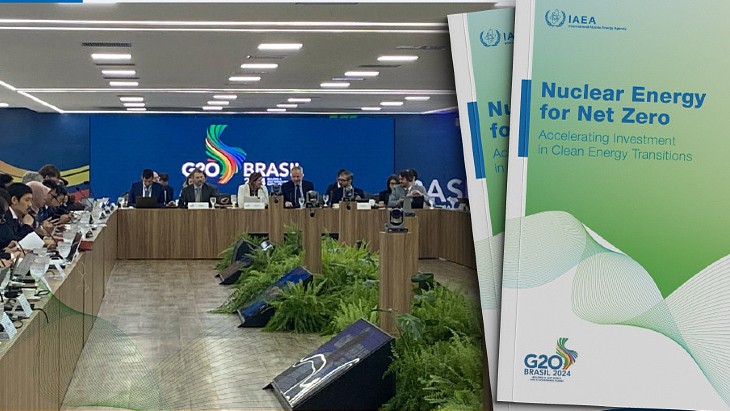 IAEA puts case to G20 for nuclear energy&#39;s net zero role