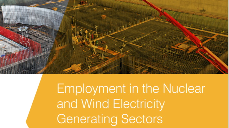 Report shows advantages of nuclear employment