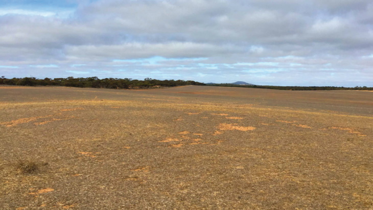 South Australian site to host national radwaste facility