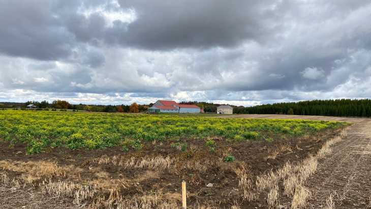 Preparations begin for Canadian borehole