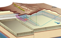 Yucca cross section