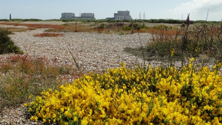 EDF Energy permanently closes UK's Dungeness B